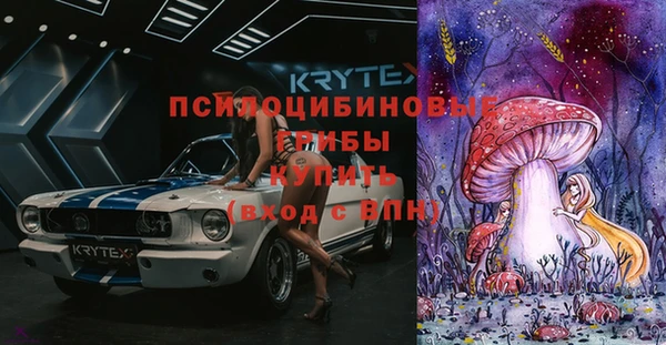 винт Алексеевка
