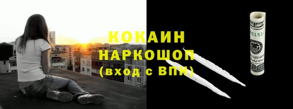 apvp Алексин
