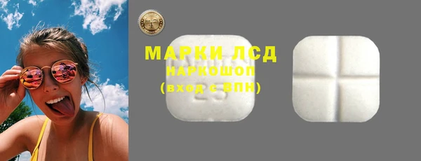 индика Бикин