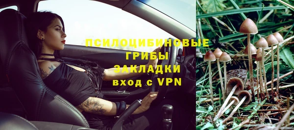 винт Алексеевка