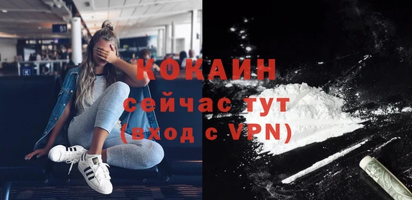 apvp Алексин